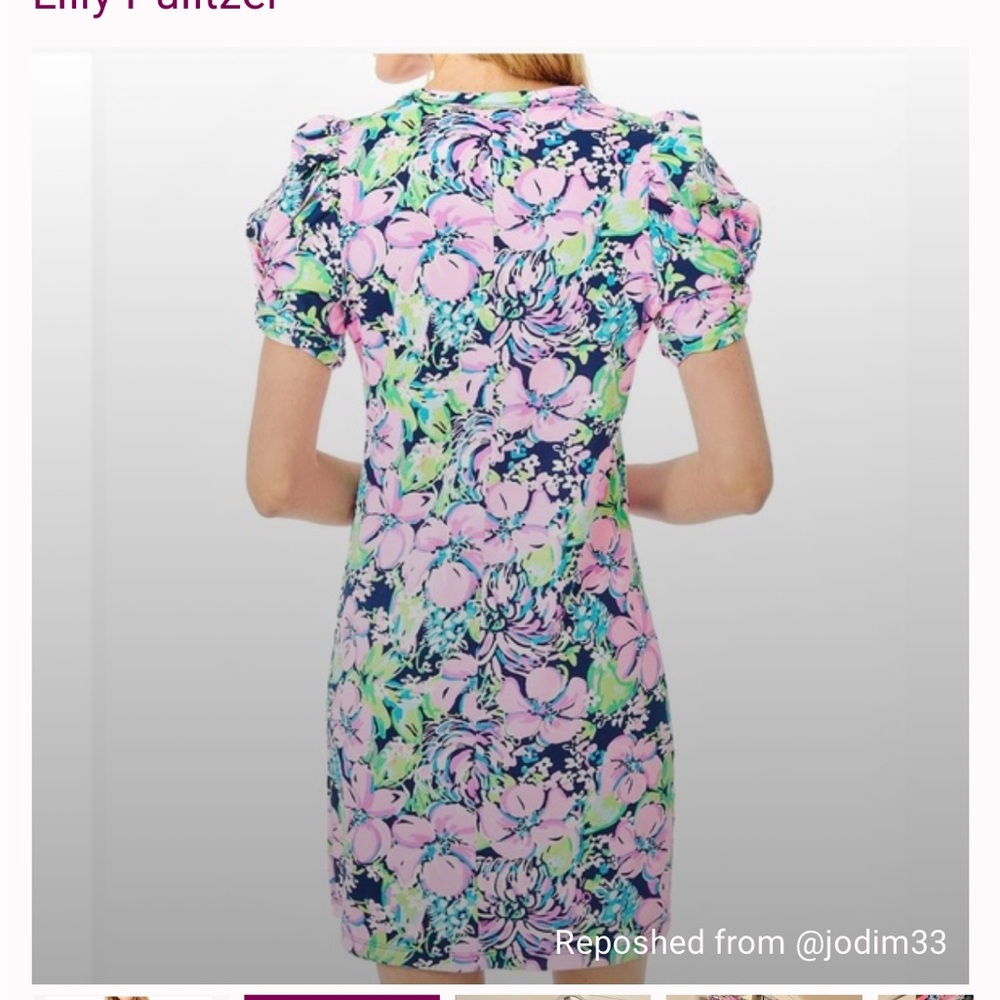 Lilly Pulitzer Women's  Floral Dress - Pink, Blue,, & Green Size Medium